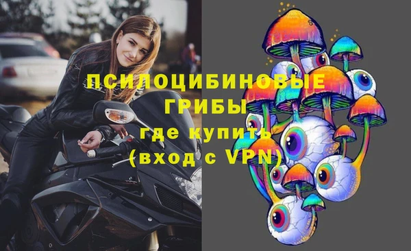 ECSTASY Алексин
