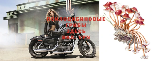 синтетический гашиш Алексеевка