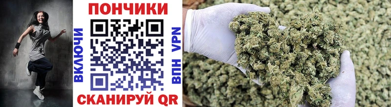 цена наркотик  Нижний Тагил  Каннабис SATIVA & INDICA 